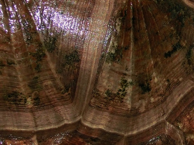 c0105569_25394.jpg