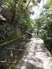 旅日記その15_e0033570_19392991.jpg
