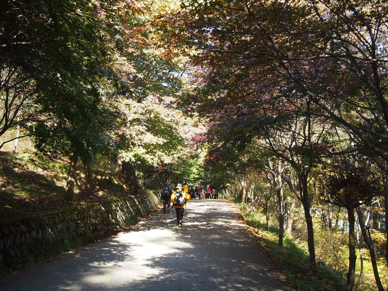 2014.10　秋の韓国へpart9　鎮安馬耳山3銀水寺他_f0152079_15361631.jpg