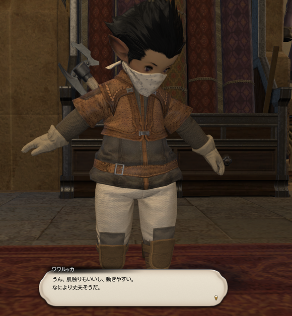 FF14_b0046686_11483972.png