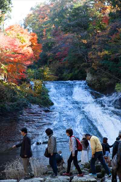 蔵写真の中から「思い出」_e0305388_169838.jpg