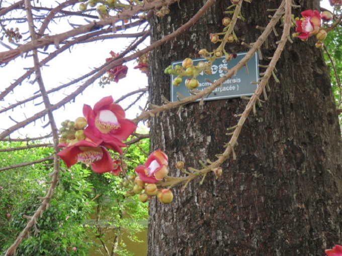 f0346196_08591481.jpg