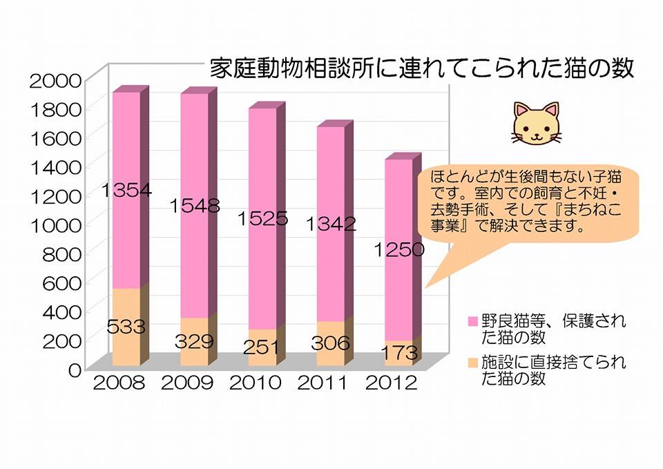 ご報告！『家族ができたワンしあわせだニャー写真展withとら猫堂』‏_a0318802_8142827.jpg