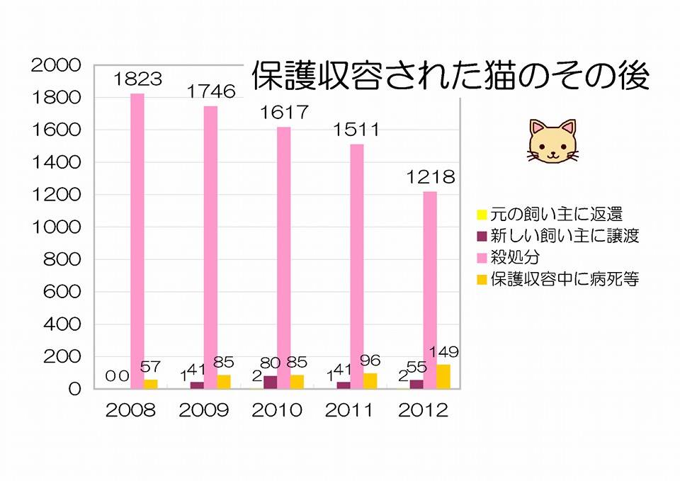 ご報告！『家族ができたワンしあわせだニャー写真展withとら猫堂』‏_a0318802_8144298.jpg