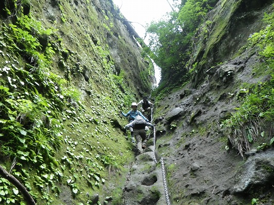 f0187402_2024107.jpg