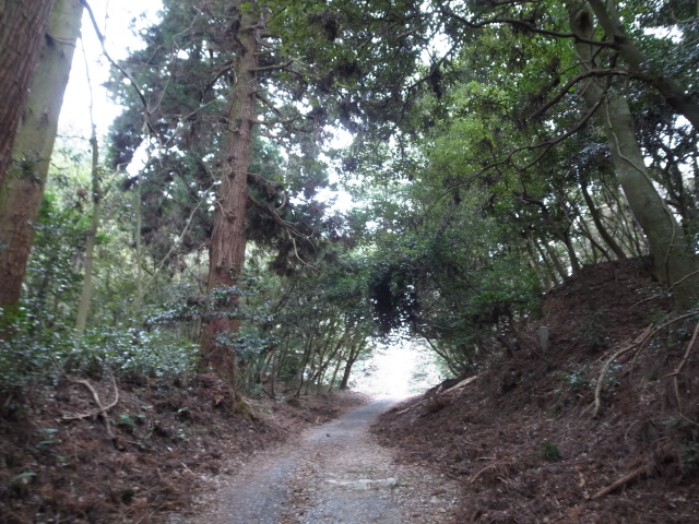 f0197703_17322714.jpg