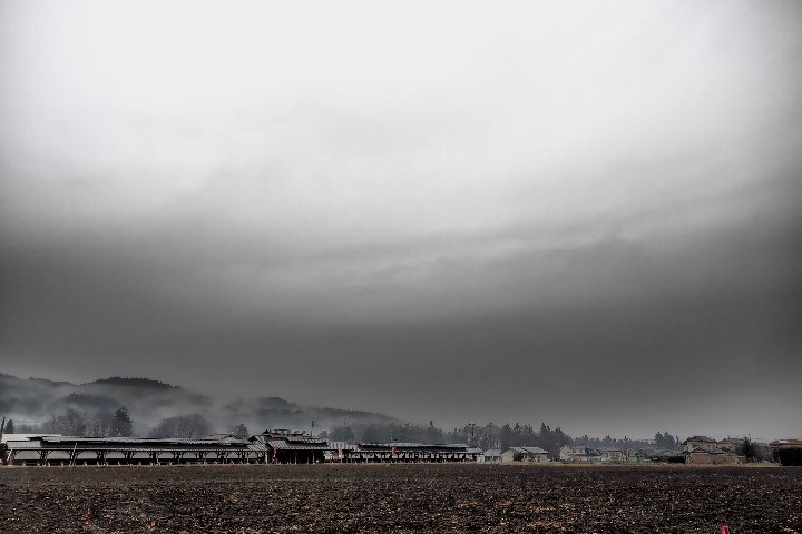 a0268412_23353162.jpg