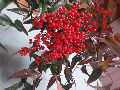 f0248616_0365368.jpg