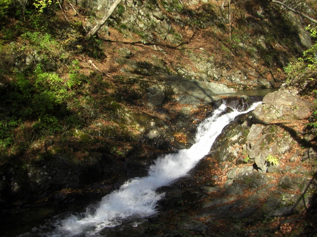 c0074721_15242450.jpg