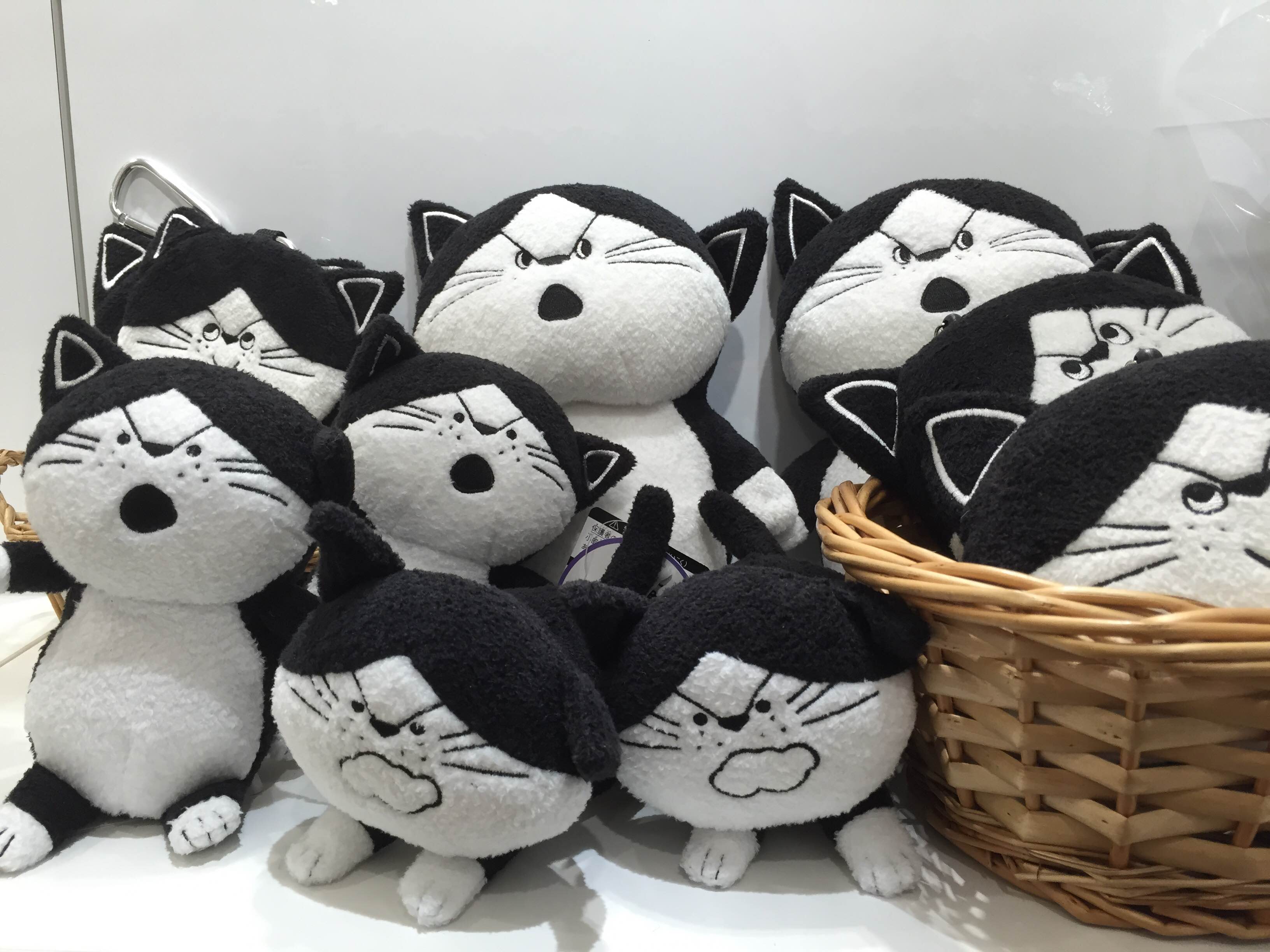 12/27--2015.1/14 momoro first exhibition 開催中_f0010033_17281930.jpg