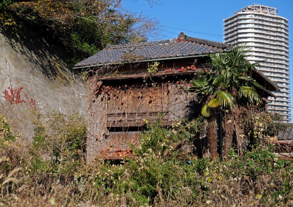 2014年12月　師走の風景_c0094546_935673.jpg