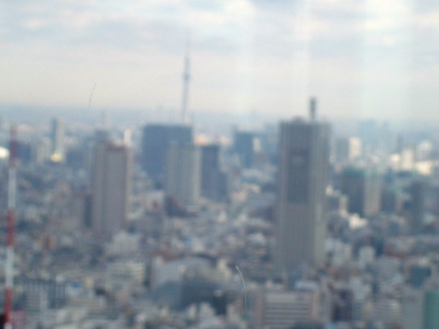 f0031546_1714639.jpg
