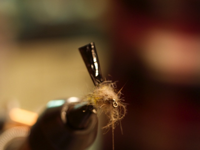 e0201348_14334053.jpg