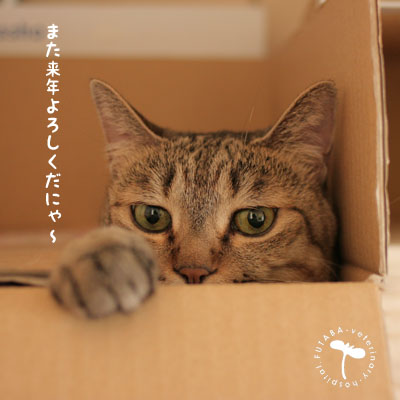 今年もお世話になりました。_a0244751_104051.jpg
