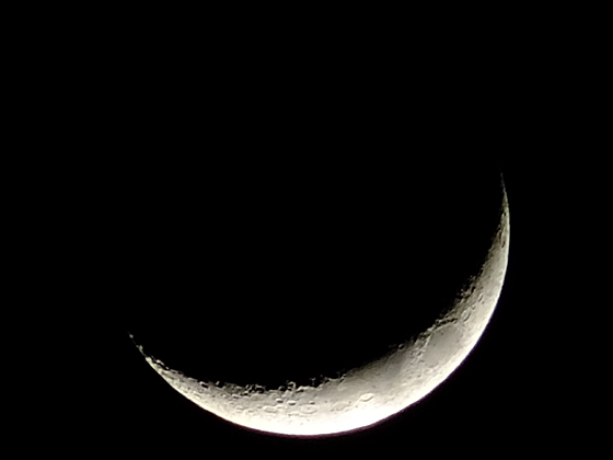 c0039153_23512.jpg