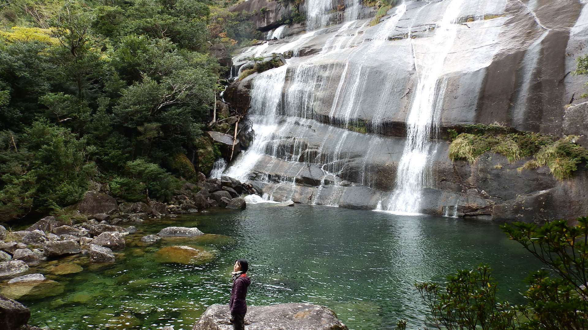 屋久島に帰ってきて_b0160957_180363.jpg