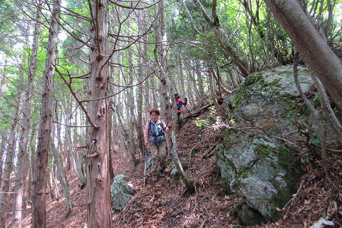 京都北山　伊賀谷山、鎌倉山、高竜山_c0002874_18131345.jpg