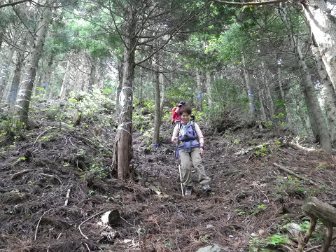 京都北山　伊賀谷山、鎌倉山、高竜山_c0002874_1839447.jpg