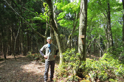 京都北山　伊賀谷山、鎌倉山、高竜山_c0002874_18752.jpg