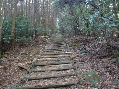 18きっぷ利用：2014年の登り納め、烏帽子岳・稲佐山（佐世保市・長崎市）_d0182075_15554538.jpg