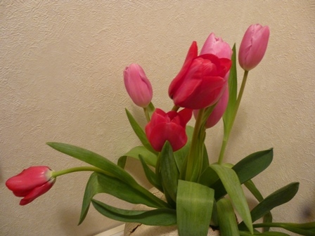 a0053480_08504636.jpg