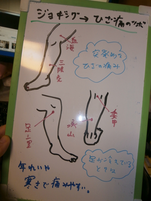 変形性膝関節症とは?原因・メカニズム・効くツボ_f0115484_197961.jpg