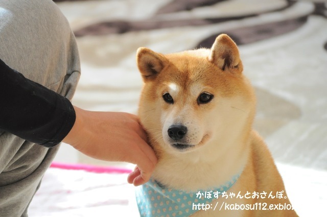 母娘喧嘩_a0126590_17492308.jpg