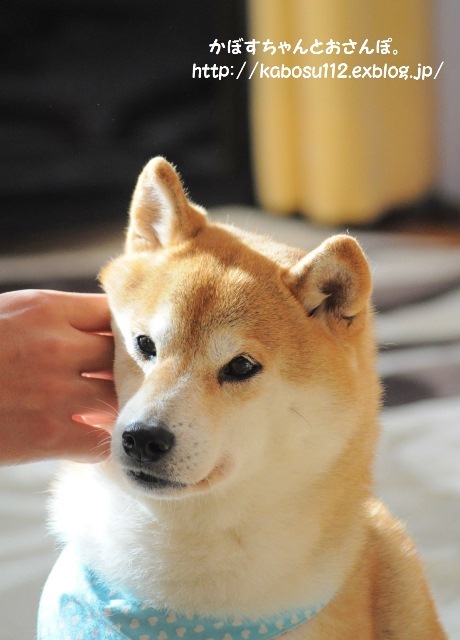 母娘喧嘩_a0126590_22331835.jpg