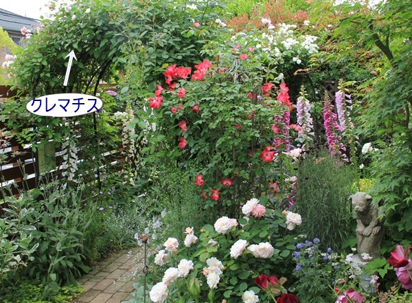 a0123003_8325496.jpg