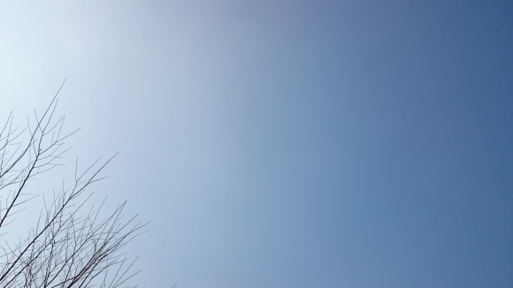 e0304003_12271788.jpg