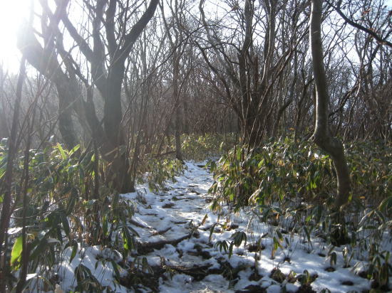 f0196109_15202860.jpg