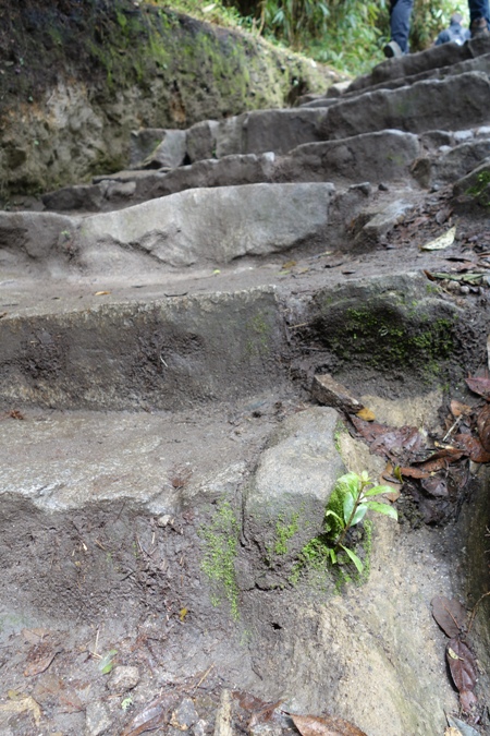 e0082110_1029221.jpg