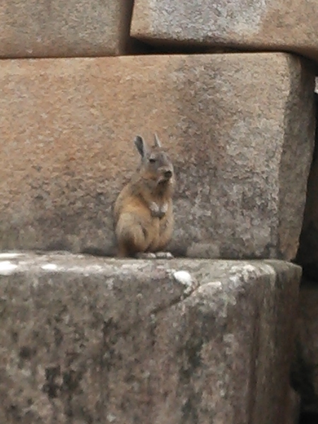e0082110_9312963.jpg