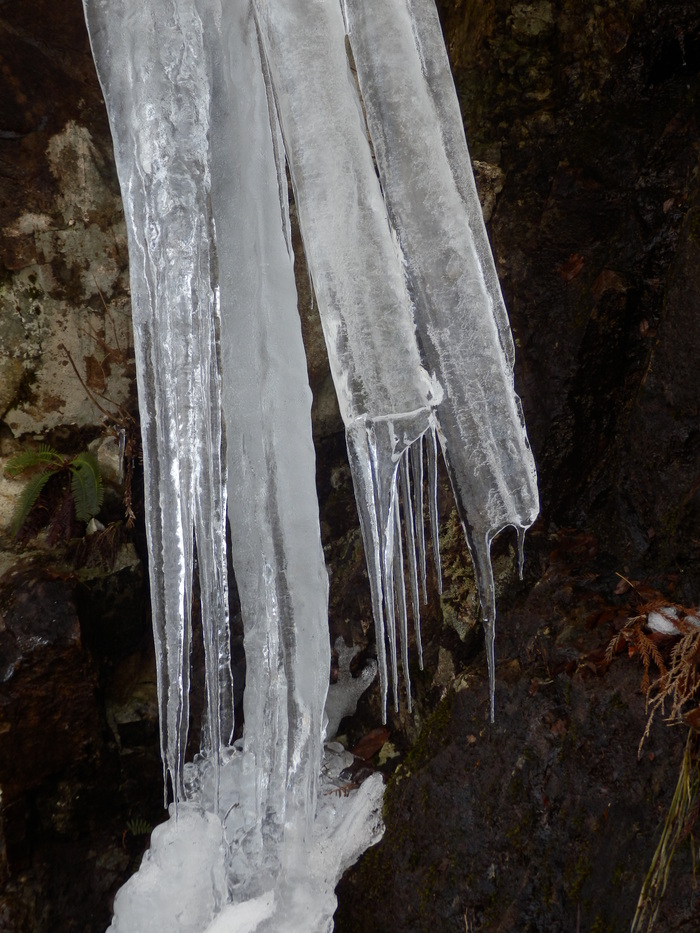 f0219710_7142840.jpg