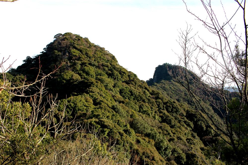 f0212511_1955467.jpg