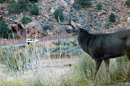 Checkerboard Mesa_c0148812_12203146.jpg