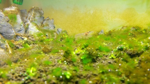 c0337613_10535011.jpg