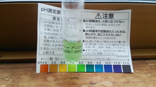 c0337613_10585540.jpg