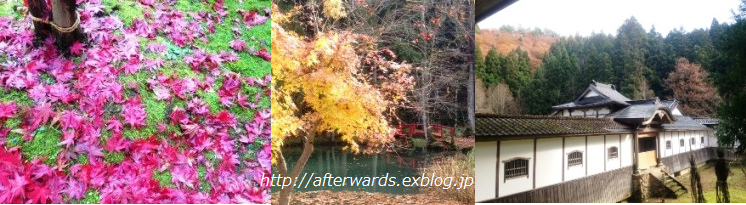 b0083417_1881544.png