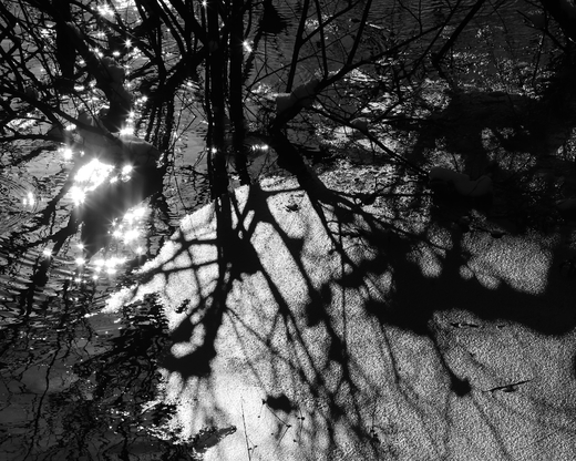 e0311229_1332981.jpg