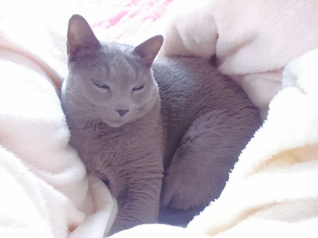 冬眠_d0152937_18304476.jpg
