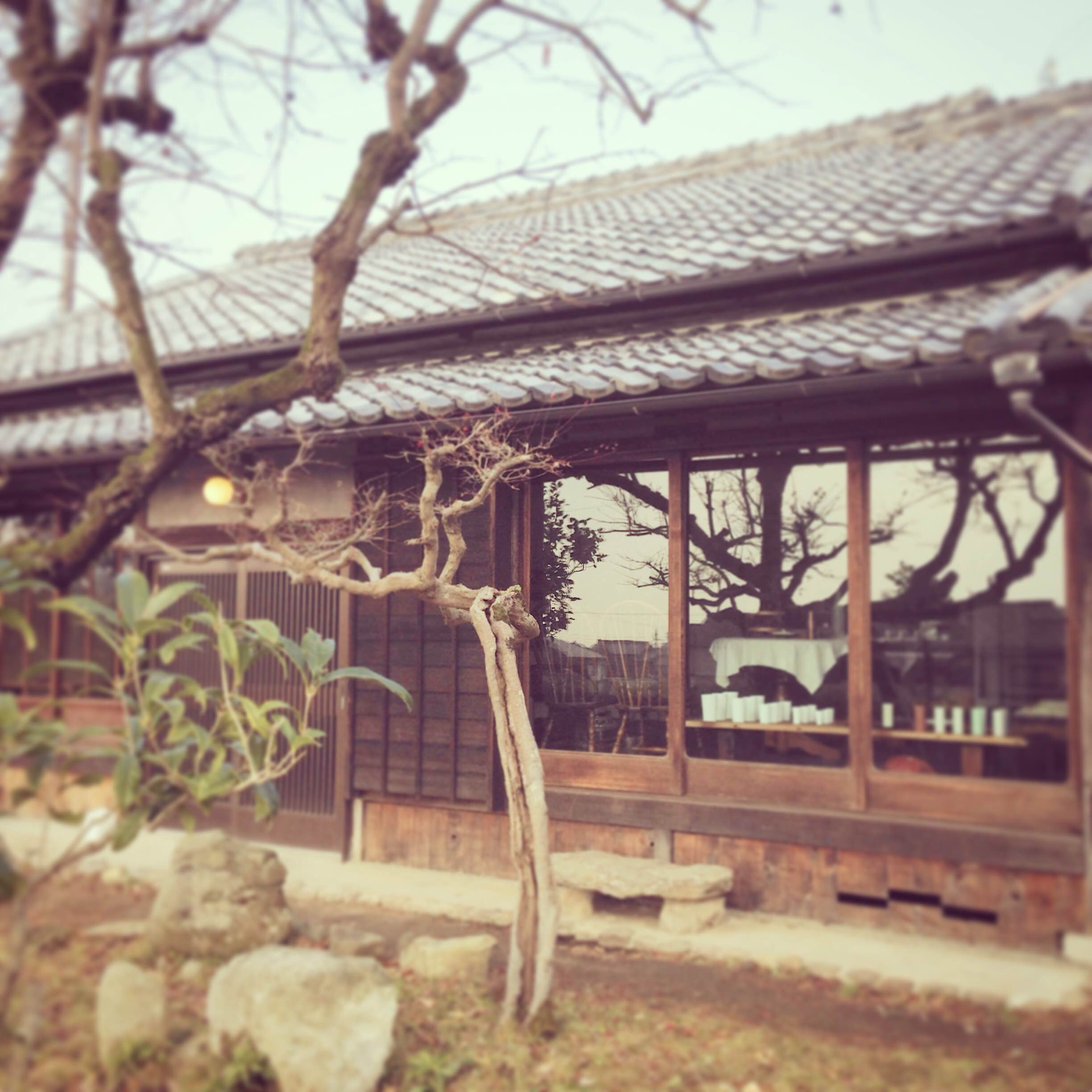 今年もありがとうございました_d0210537_12341372.jpg