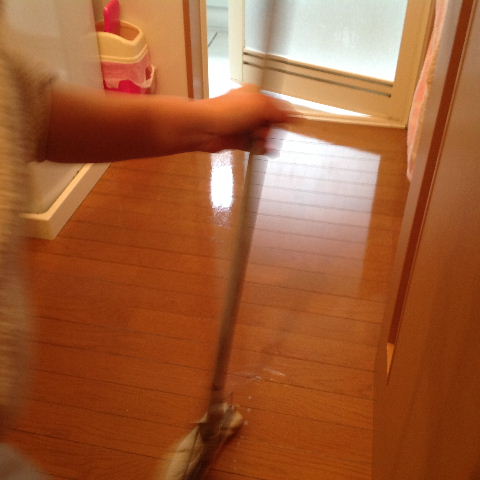 2014年 我が家の大掃除_f0031037_17394519.jpg