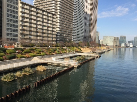 年の瀬の月島 佃島 ２ 石川島公園から銀座まで 散歩ガイド