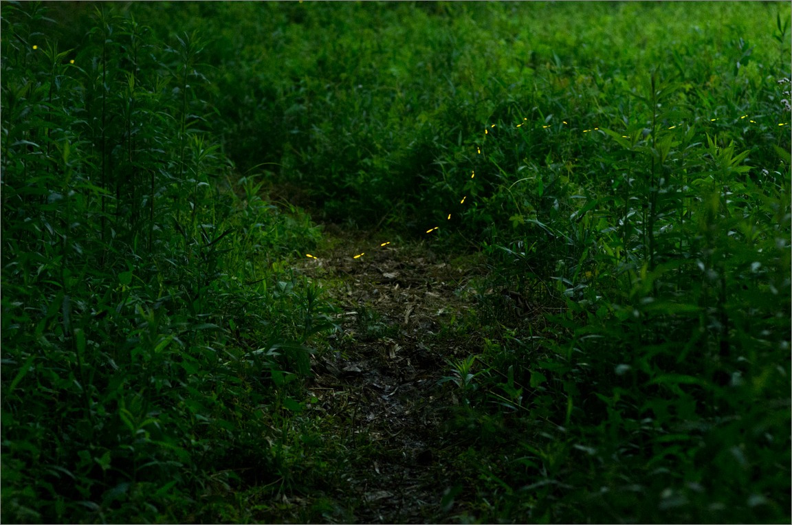 d0058445_1328533.jpg