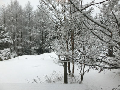 モノトーンの朝_f0019247_022193.jpg