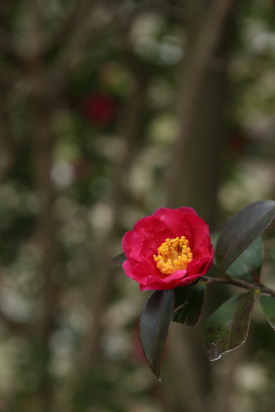 c0272958_23513267.jpg