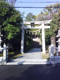 熊野田八坂神社_f0150767_17491452.jpg