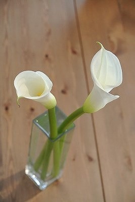 2015年もどうぞよろしくお願いします!_d0240469_11191663.jpg