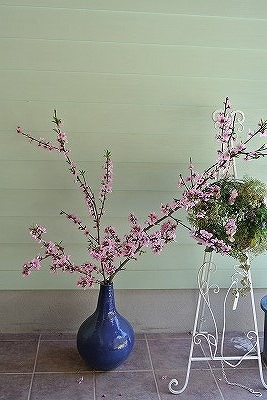 2015年もどうぞよろしくお願いします!_d0240469_11225411.jpg